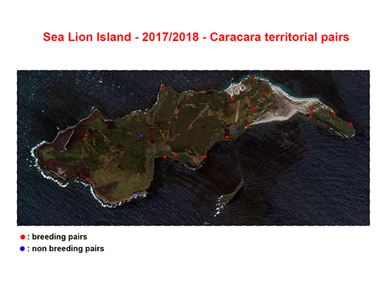 Caracara's nest map