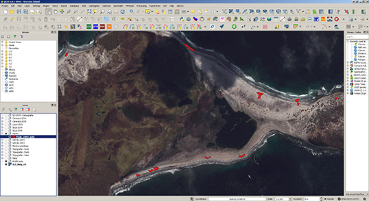 Distribution of elephant seal harem