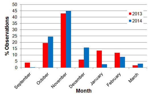 Total number of sightings