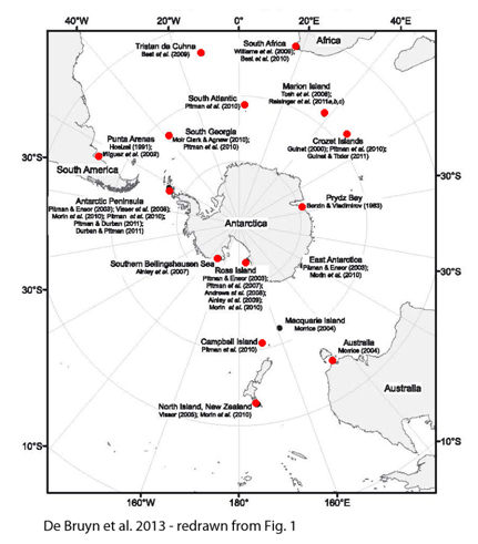 KW distribution