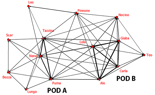 Sociogram