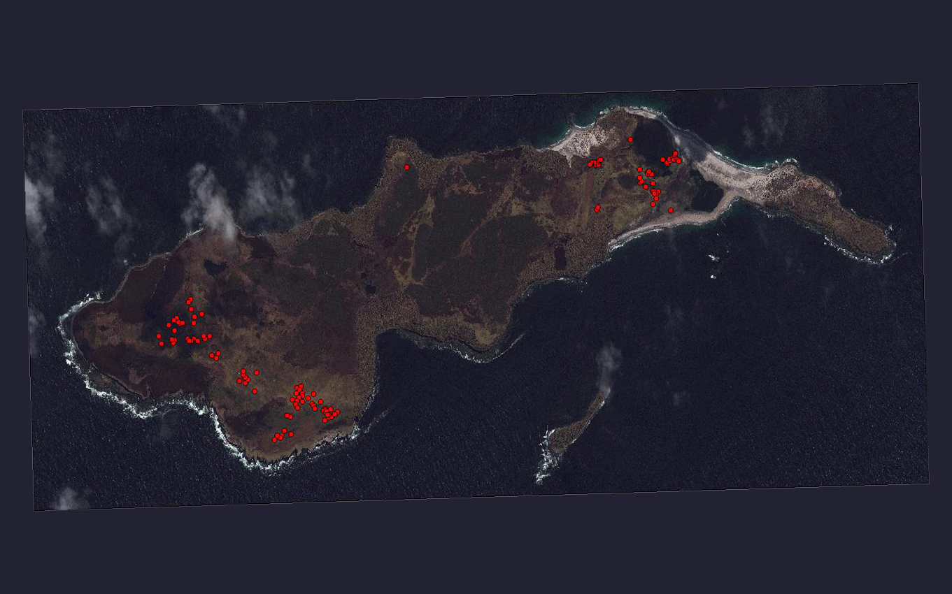 Skua nests map