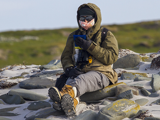 Observing in the cold